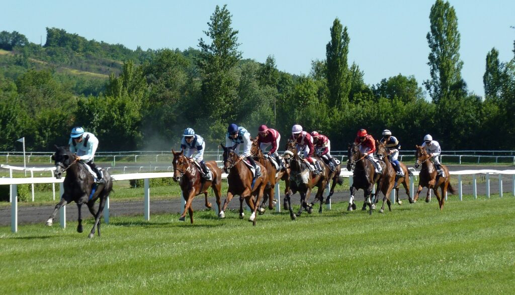 hipodromo